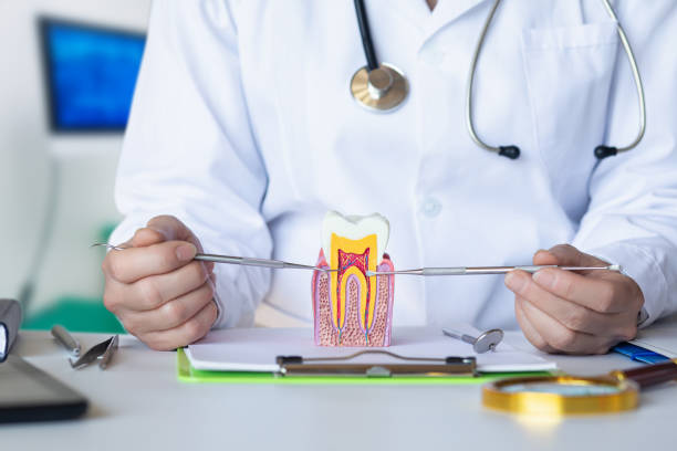 Best Emergency Treatment for Jaw Pain or Injury in Prospect Rk, PA